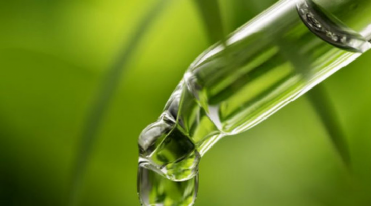 BEGINNERS GUIDE TO CANNABIDIOL OIL WHY EVERYBODY NEEDS TO TAKE CBD 770x428 1