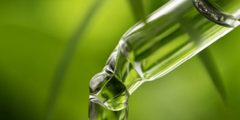 BEGINNERS GUIDE TO CANNABIDIOL OIL WHY EVERYBODY NEEDS TO TAKE CBD 770×428 1 BEGINNERS GUIDE TO CANNABIDIOL OIL WHY EVERYBODY NEEDS TO TAKE CBD 770x428 1