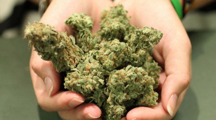 The hottest topics in the cannabis industry