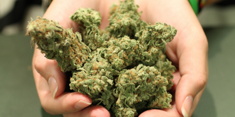 The hottest topics in the cannabis industry