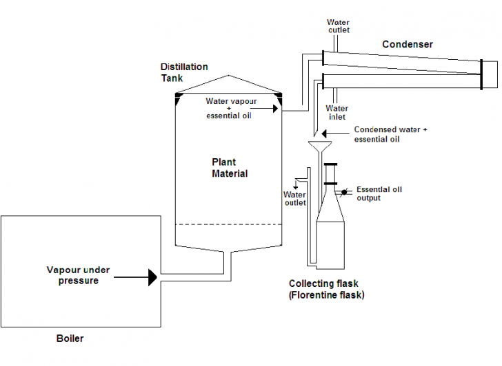 pasted image 2 pasted image 2