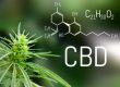 what is cbd