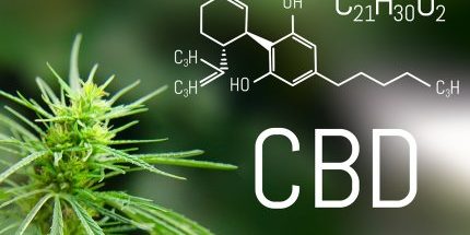what is cbd what is cbd
