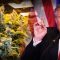donald trump and marijuana politics