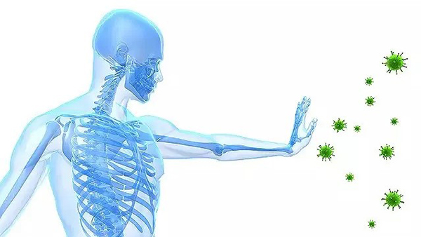 CBD for immunity