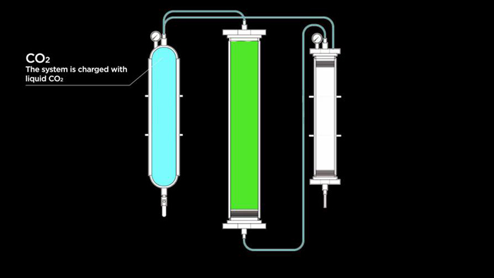 Supercritical CO2 extraction method for CBD 1